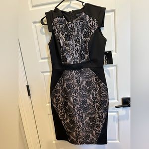 Enfocus Studio Black Cap Sleeve Lace Bodice Size 12 Dress